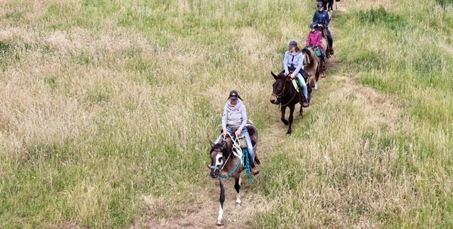 Wanderreiten in Leichlingen - Entschleunigung zu Pferd